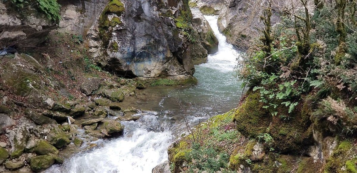 Seker Canyon cover image