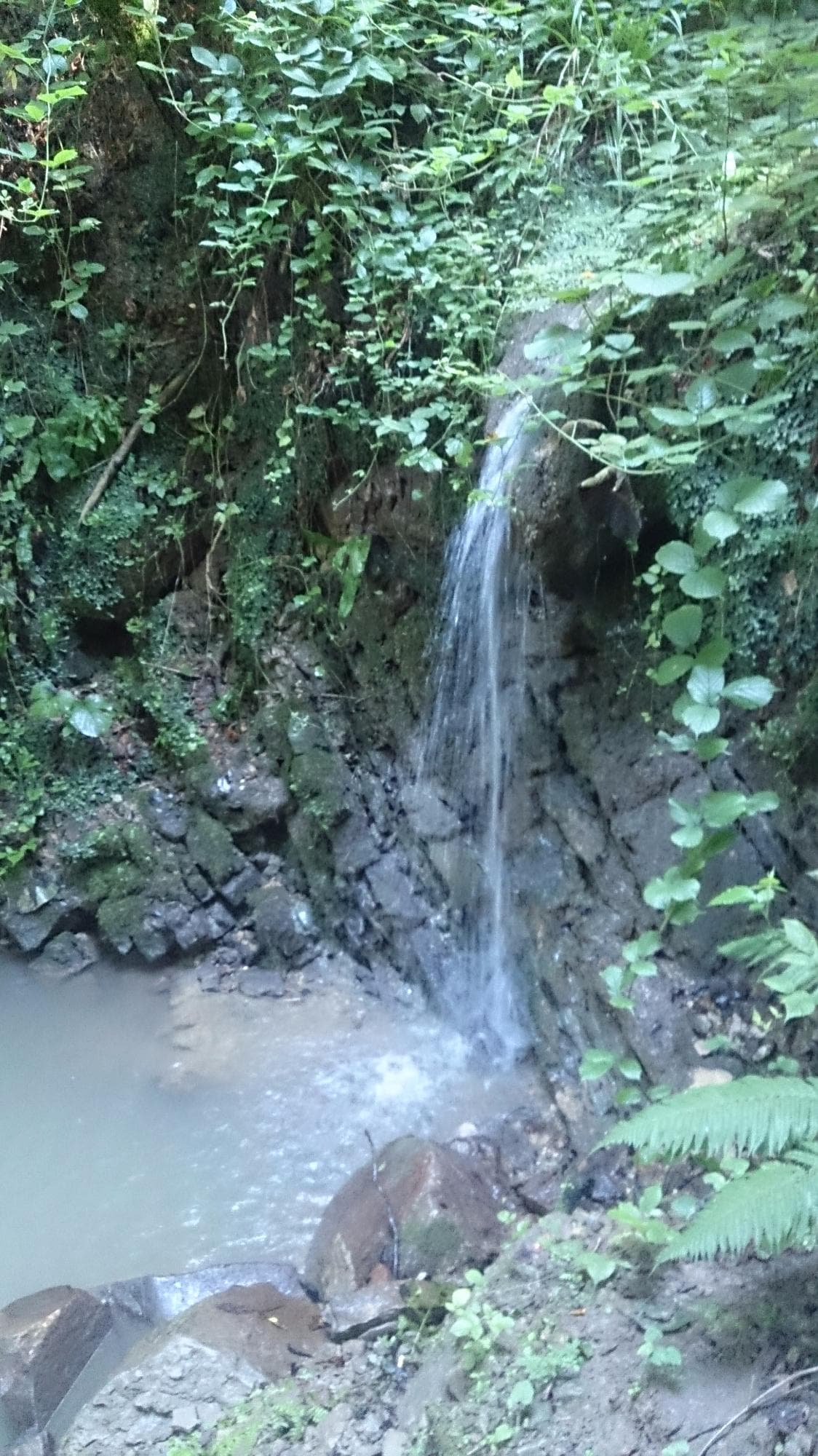 Akkaya Picnic Area cover image