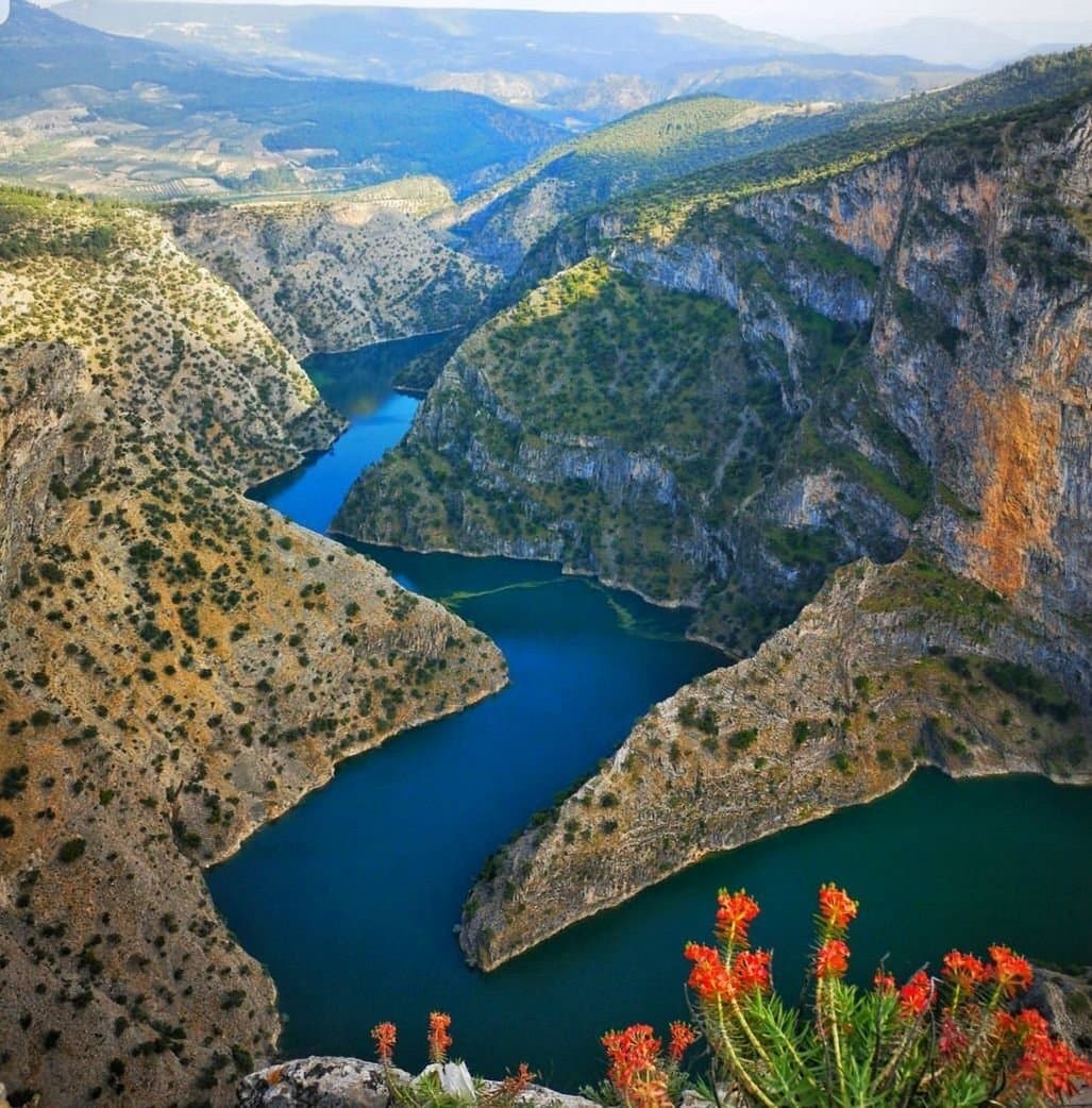 Arapapisti Canyon Viewpoint cover image