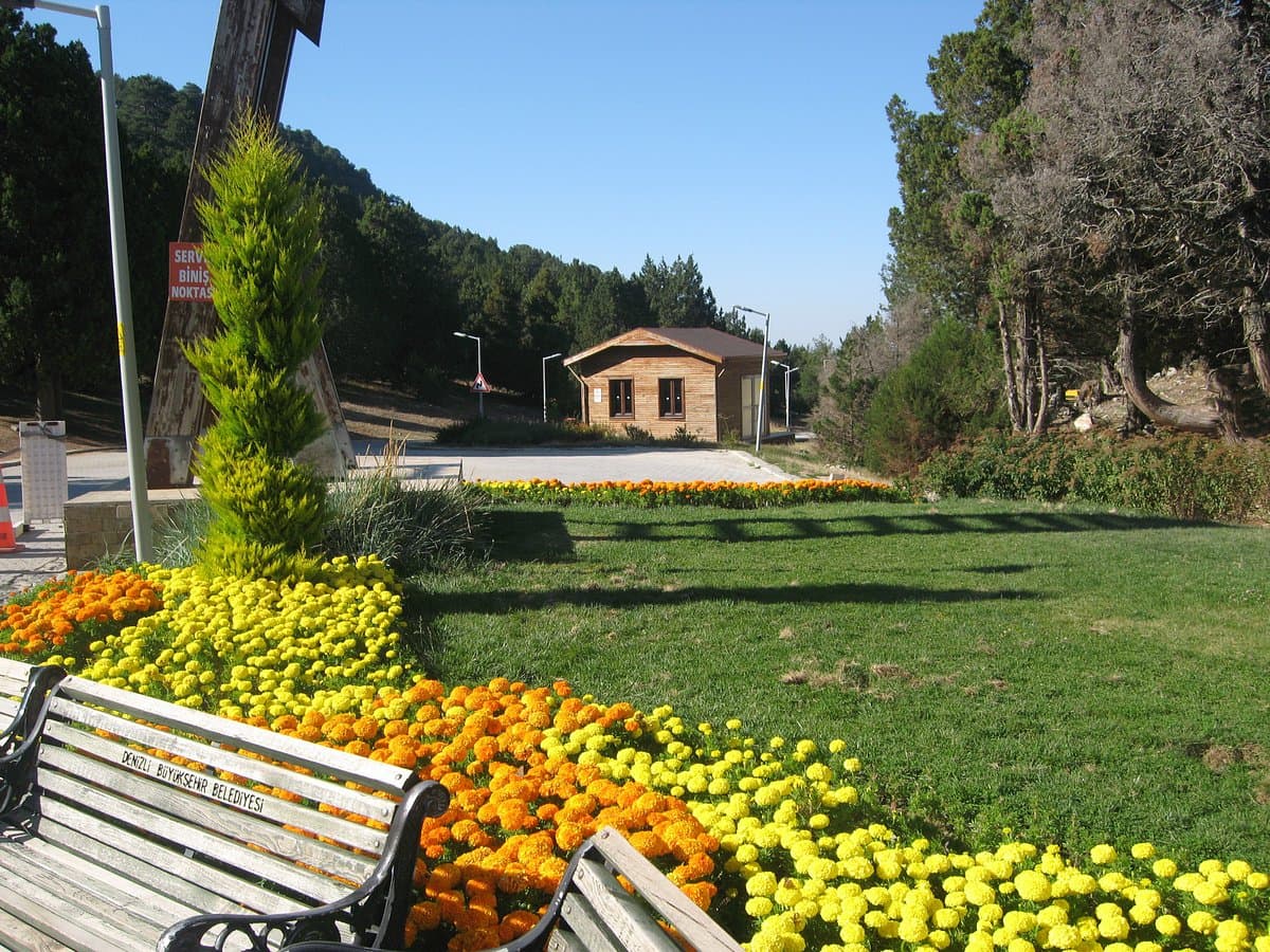Bagbasi Recreation Area cover image
