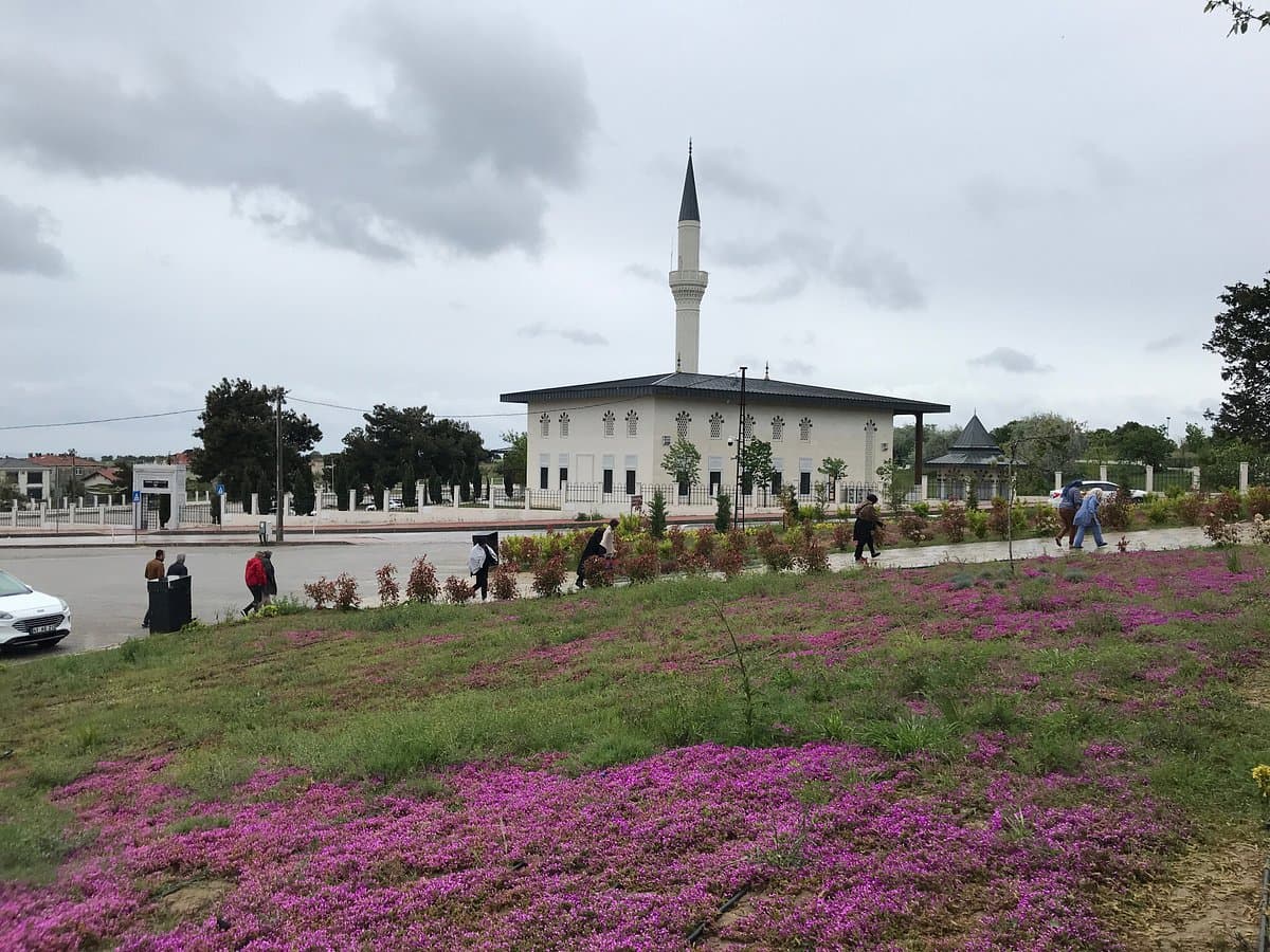 Çanakkale Wars Live and Audio History Gallery cover image