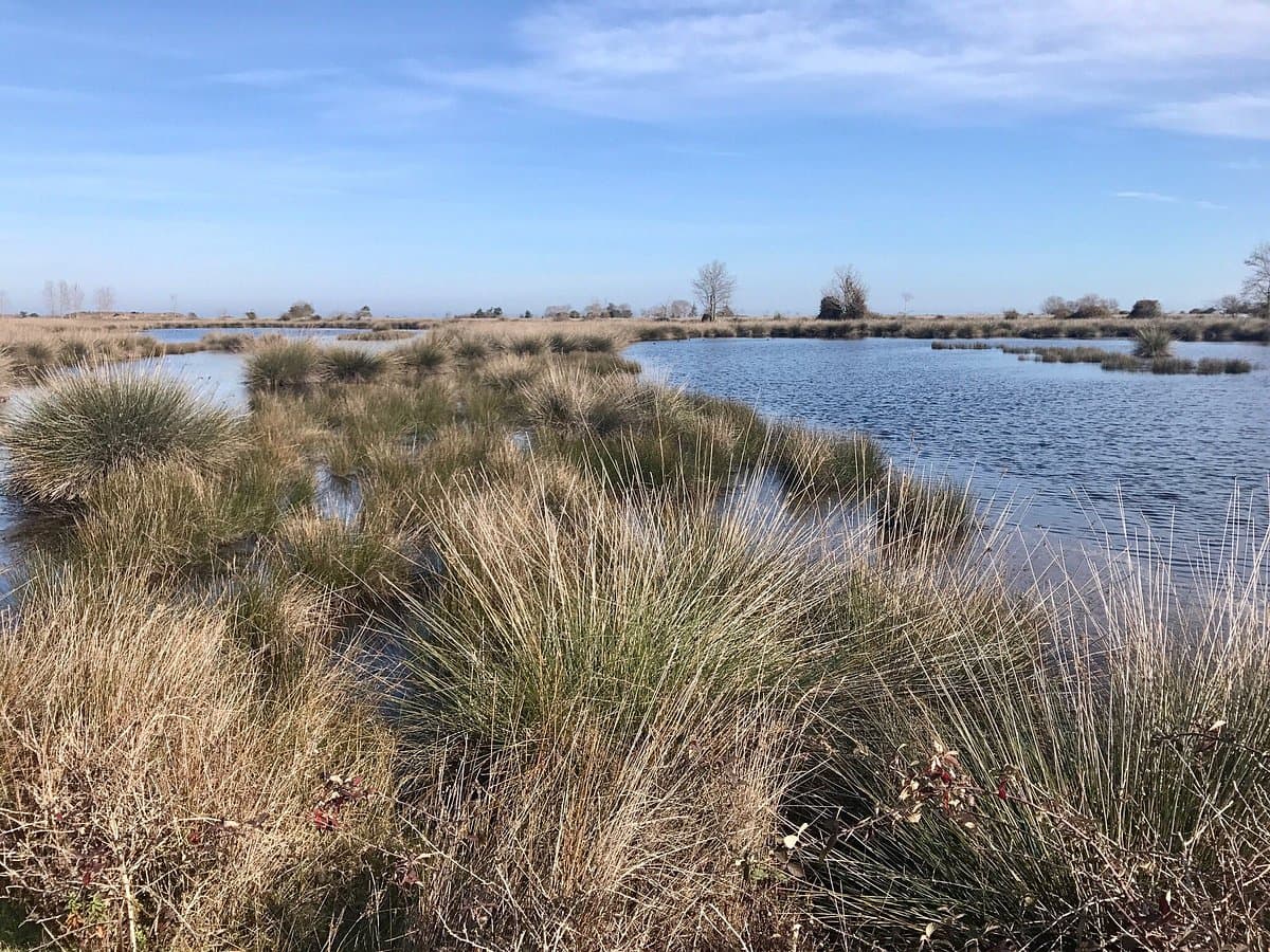 Kızılırmak Delta Vogelparadies