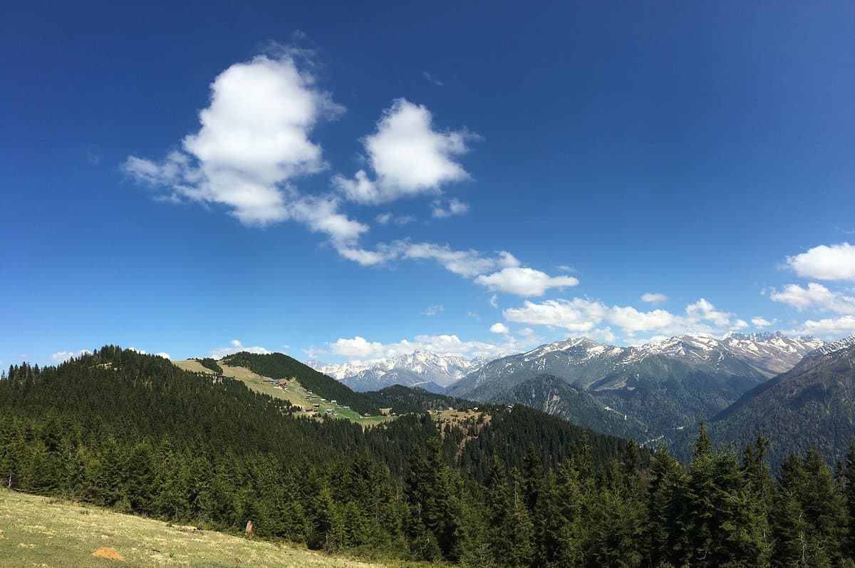 Sal Yaylasi Plateau cover image