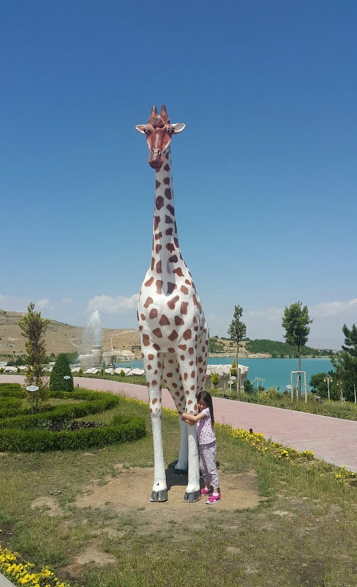Malatya Zoo cover image