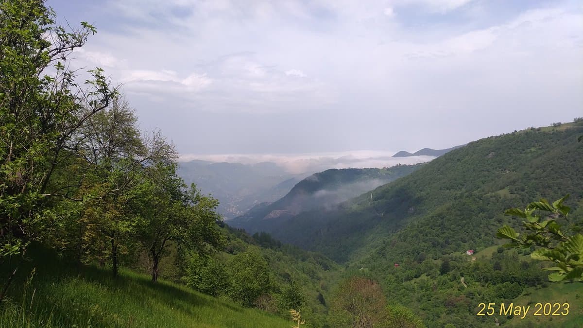 Kayabasi Nature Park cover image
