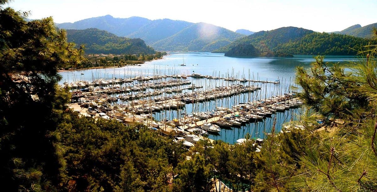 Martı Marina & Yacht Club cover image