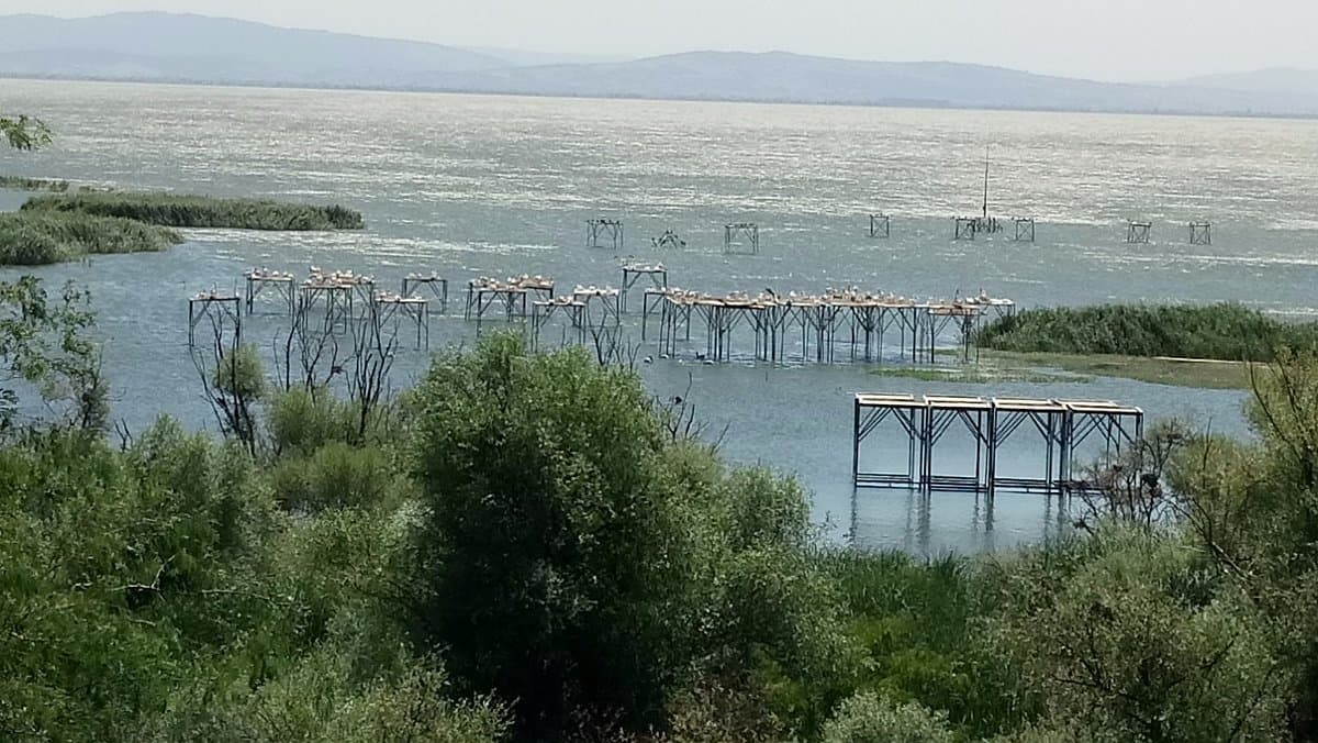 Nationalpark Kuşcenneti