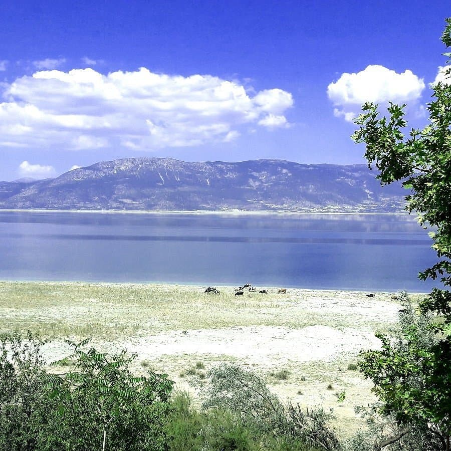 Burdur Lake Bird Sanctuary cover image