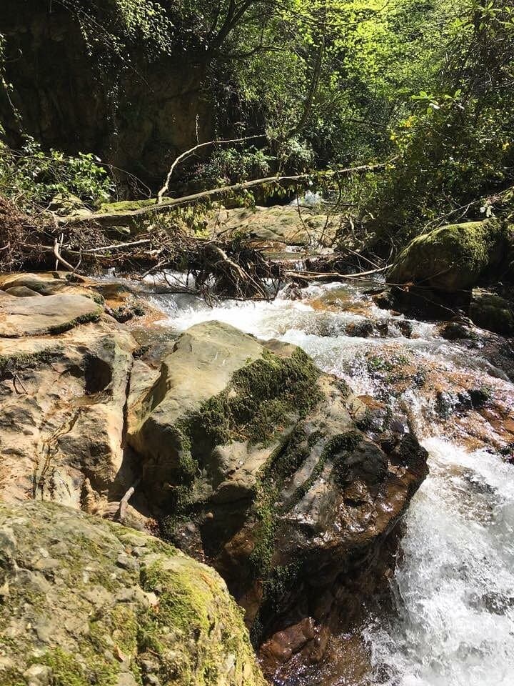 Kurugol Canyon cover image