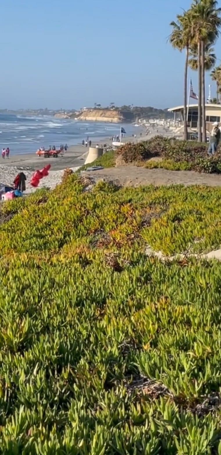 Büyük Plaj (Big Beach) cover image