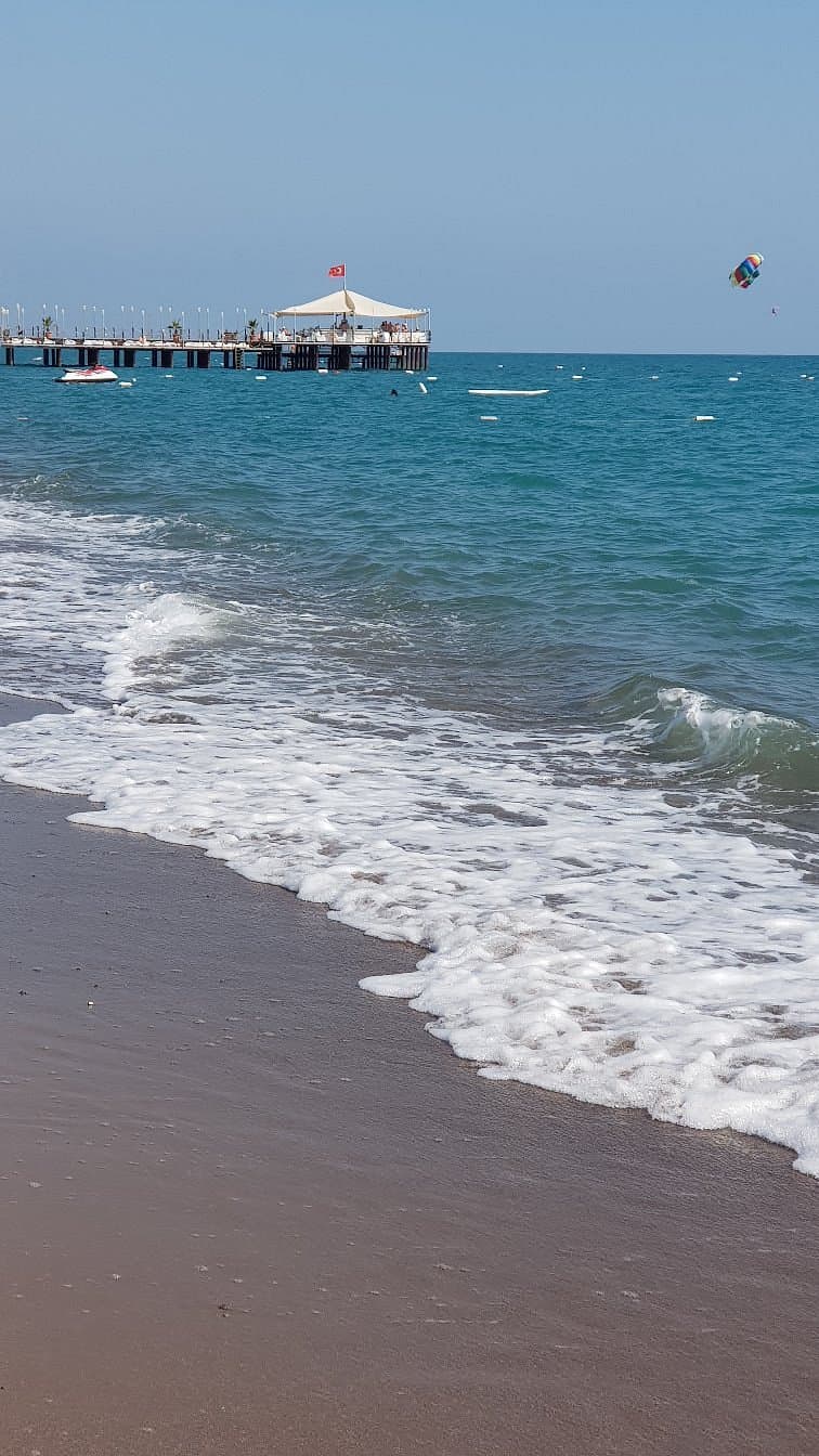 Sorgun Pine Grove Public Beach cover image