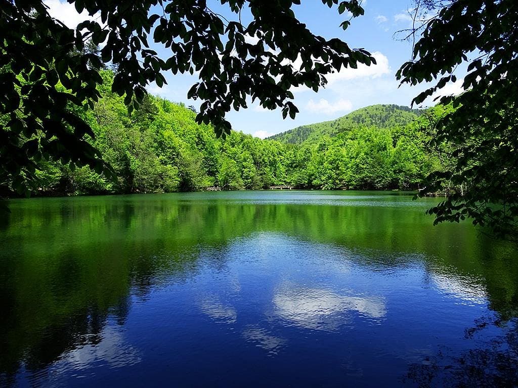 Yedigöller-Nationalpark